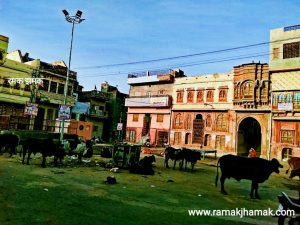 Dammani Chowk Bikaner